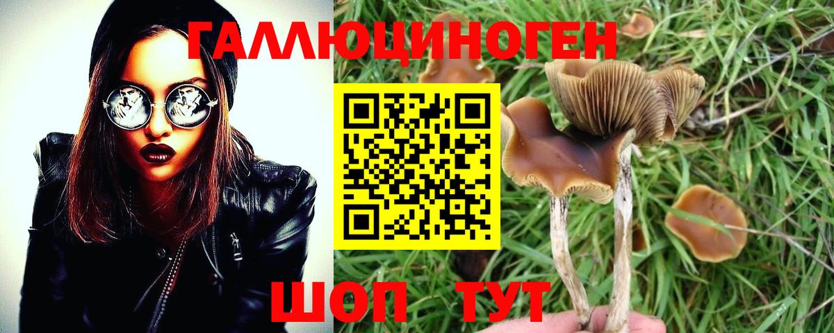 Псилоцибиновые грибы мухоморы  Вход с VPN  Урай 